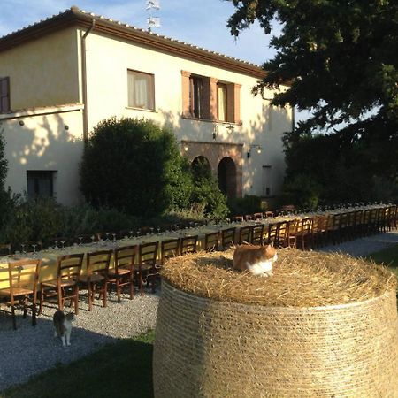 Agriturismo Giuncola & Granaiolo Rispescia Luaran gambar