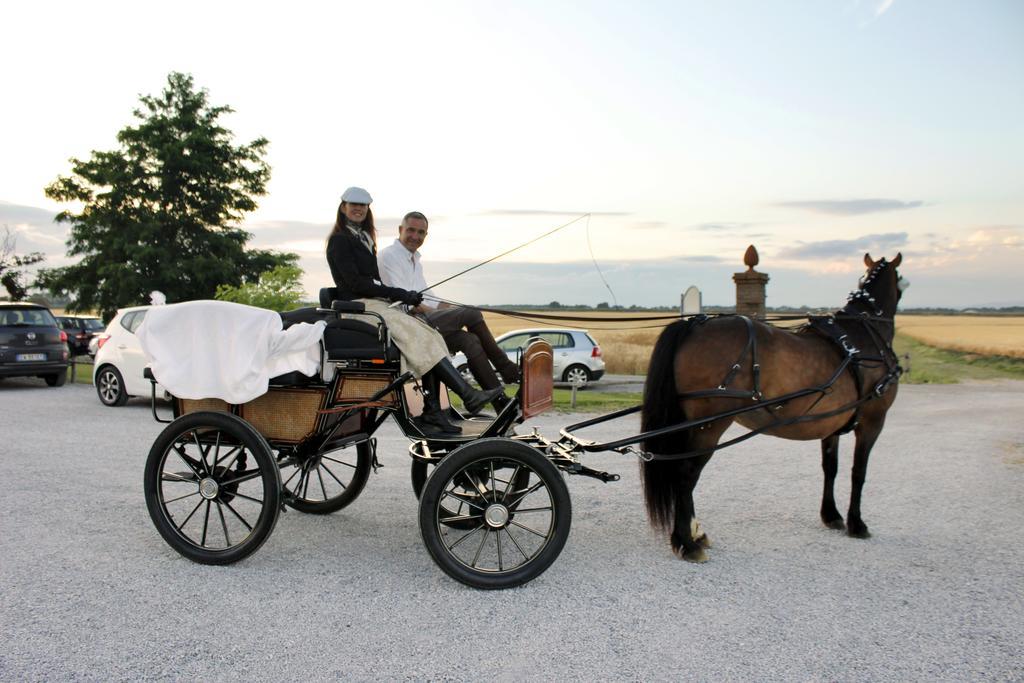 Agriturismo Giuncola & Granaiolo Rispescia Luaran gambar