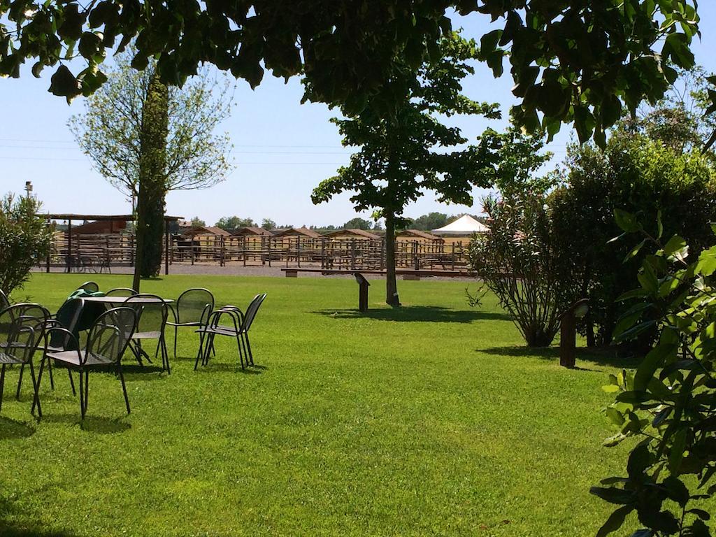 Agriturismo Giuncola & Granaiolo Rispescia Luaran gambar