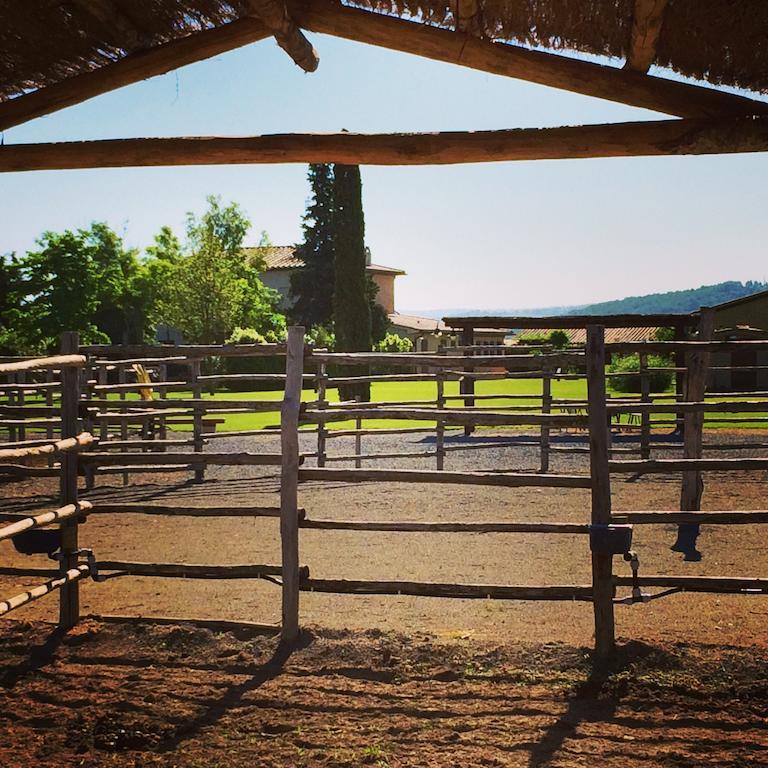 Agriturismo Giuncola & Granaiolo Rispescia Luaran gambar