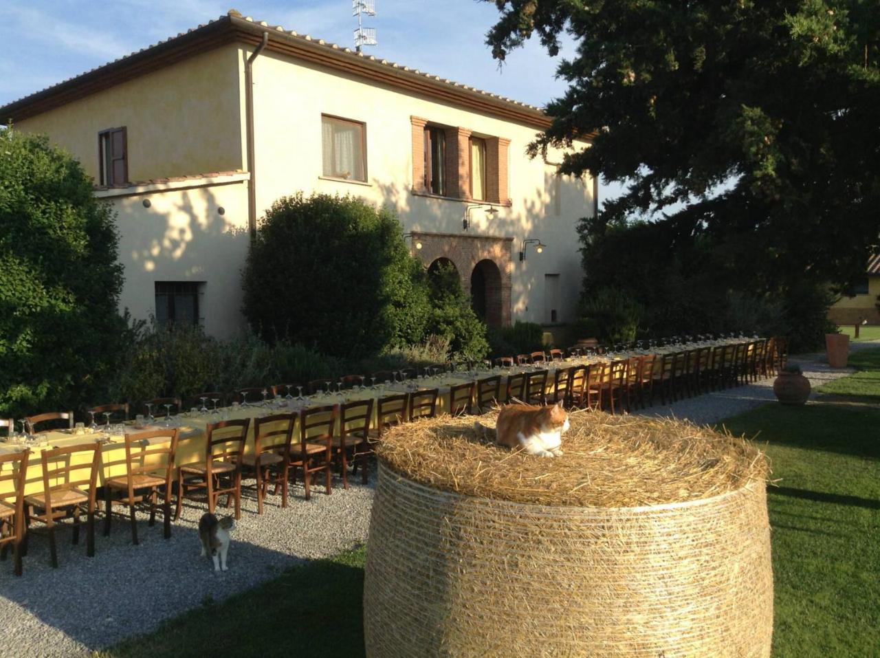 Agriturismo Giuncola & Granaiolo Rispescia Luaran gambar